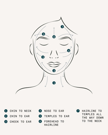 THE FACIAL SCULPTOR