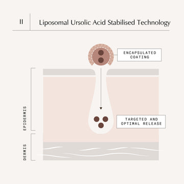 Liposomal Encapsulated & Stabilised Technologies
